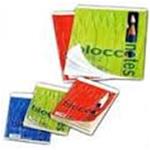 BLOCCO NOTES QUADRETTI A5 60FF 