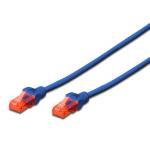 CAVO DI RETE 1MT CAT 6 EWENT BLU