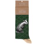 CALZINI DA UOMO COUNTRY GENT' BADGER WRENDALE DESIGNS