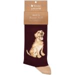 CALZINO DA UOMO  Labrador "Speranza" WRENDALE DESIGNS