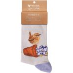 CALZINO DA UOMO UCCELLINO CON VASO WRENDALE DESIGNS